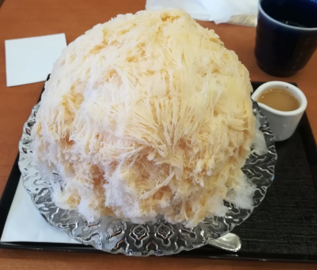 f:id:shoshilog:20180825233118j:plain f:id:shoshilog:20180825233118j:plain