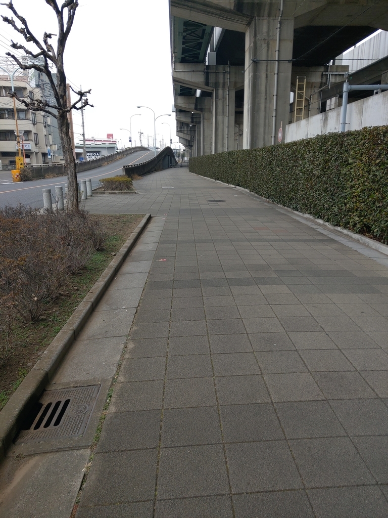 f:id:shoshilog:20190131224040j:plain f:id:shoshilog:20190131224040j:plain